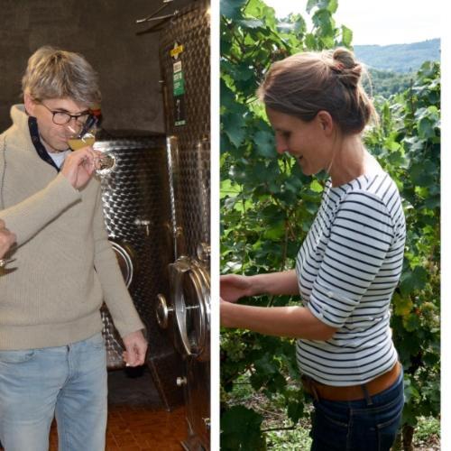 فندق Weingut Erbes-Henn Ürzig المظهر الخارجي الصورة