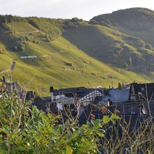 فندق Weingut Erbes-Henn Ürzig المظهر الخارجي الصورة