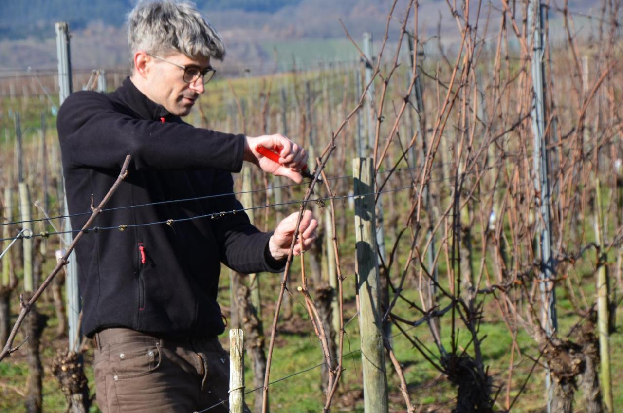 فندق Weingut Erbes-Henn Ürzig المظهر الخارجي الصورة
